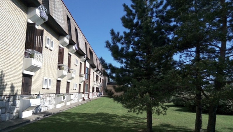 Hotel Beli bor